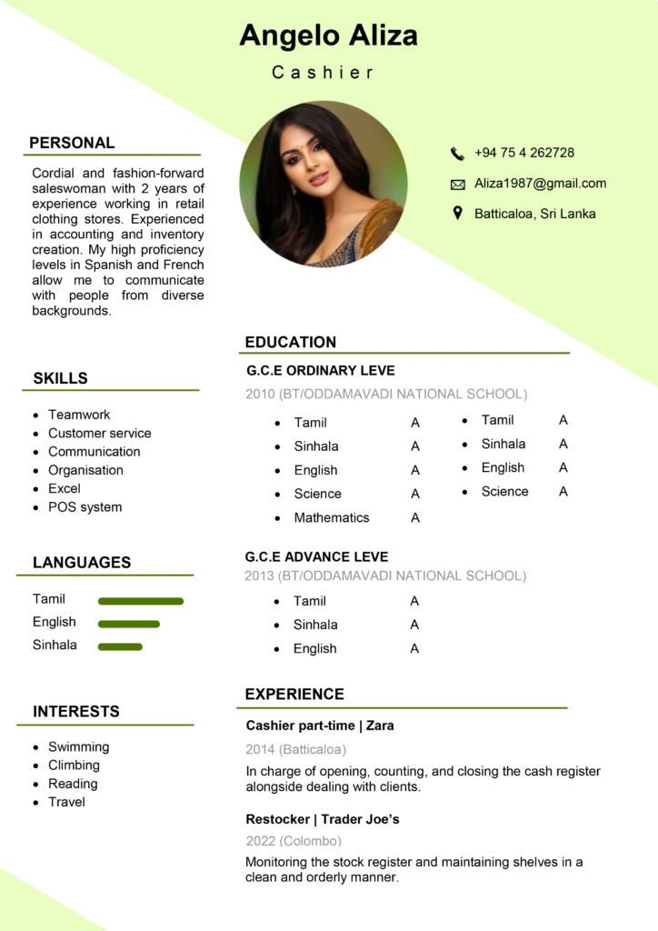 Professional CV – Model 3