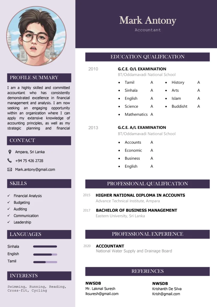 Professional CV – Model 4