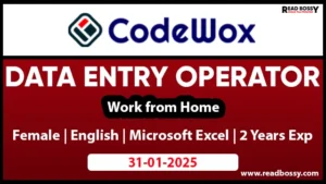 Work from home job vacancies 2025 - Data Entry Operator