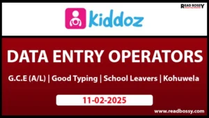 Data Entry Job Vacancies 2025 - Kiddoz