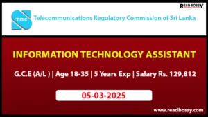 TRCSL Job Vacancies 2025 - Information Technology Assistant