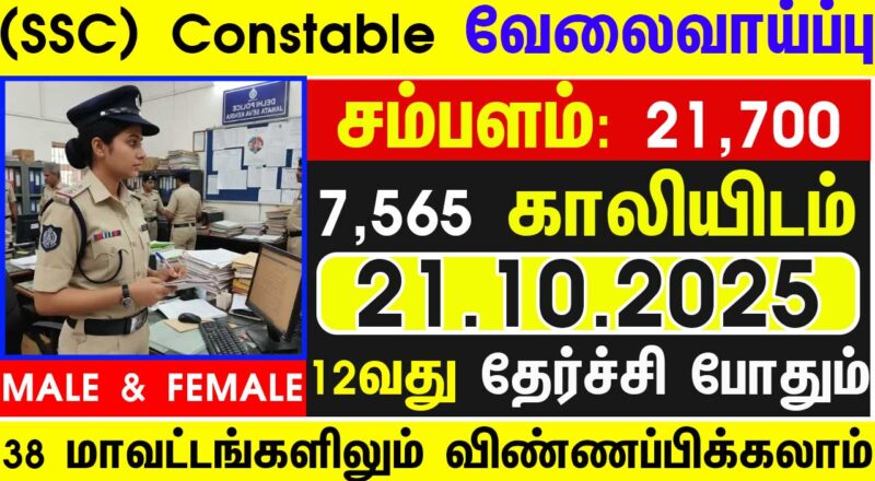 Tamil Nadu Govt Jobs 2025 Arasuvelai 2025 Tamil Nadu Arasu Velai Vaippu 2025 Jobs Today Tamil TN Govt Jobs 2025 TN Govt Jobs 2025 Tamil TN Jobs Jobs Tamila Jobs 2025